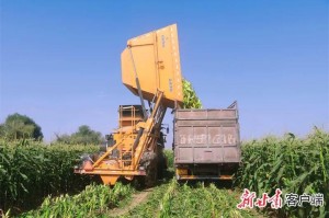 大地资源在线观看免费新浪财经，如何实现？