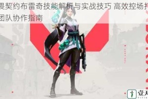 无畏契约布雷奇技能解析与实战技巧 高效控场打法及团队协作指南