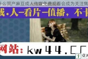 为什么国产麻豆成人传媒免费观看会成为关注焦点？