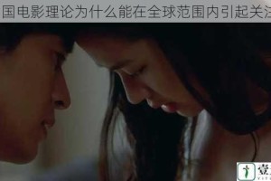 韩国电影理论为什么能在全球范围内引起关注？