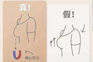 为什么巨乳如此受欢迎？如何判断一个人是否拥有完美的胸部？
