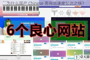 为什么国产 Chinese 男网站速度如此之快？