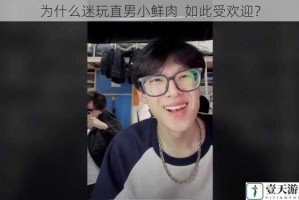 为什么迷玩直男小鲜肉  如此受欢迎？