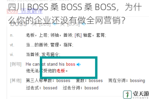 四川 BOSS 桑 BOSS 桑 BOSS，为什么你的企业还没有做全网营销？