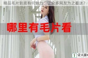 精品毛片到底有何魅力，让众多网友为之着迷？