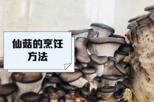蘑菇精产品一三三三在线，为什么能帮助企业解决获客难题？