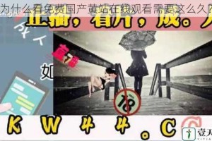 为什么看免费国产黄站在线观看需要这么久？