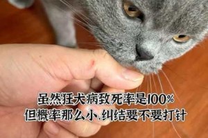 被自己家狗上瘾了，怎么办？