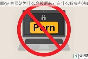 男同gv 禁网站为什么会被屏蔽？有什么解决办法吗？