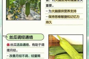 性福宝丝瓜有什么用？如何使用才能获得更好的体验？