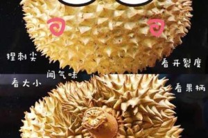 榴莲视频黄色内容是否合规？如何避免观看违规视频？