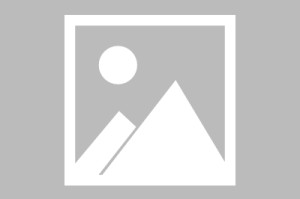 全国黑料网：聚焦各类负面信息的平台
