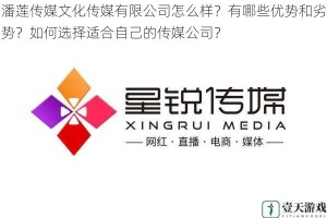 潘莲传媒文化传媒有限公司怎么样？有哪些优势和劣势？如何选择适合自己的传媒公司？