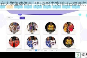 如何在大学篮球体育飞机网站中找到自己想要的信息？