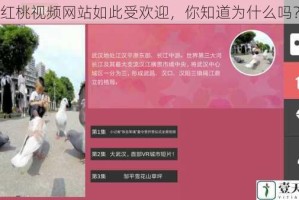 红桃视频网站如此受欢迎，你知道为什么吗？