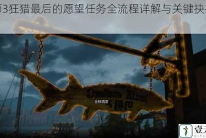 巫师3狂猎最后的愿望任务全流程详解与关键抉择指南