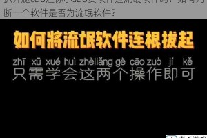 扒开腿cao烂你小sao货软件是流氓软件吗？如何判断一个软件是否为流氓软件？