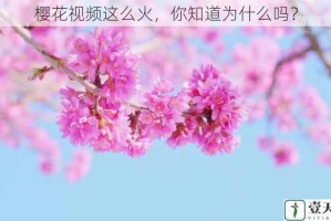 樱花视频这么火，你知道为什么吗？