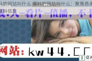 爆料的网站叫什么 爆料的网站叫什么：聚焦各类独家爆料信息