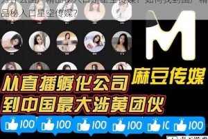 为什么国产精品秘入口是星空传媒？如何找到国产精品秘入口星空传媒？