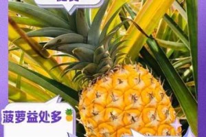 福建导航福建大菠萝官网下载：为何-怎样获取？有何安全风险？