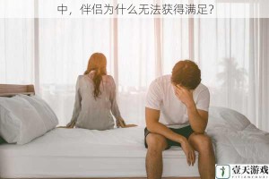 中，伴侣为什么无法获得满足？