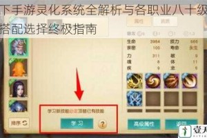 天下手游灵化系统全解析与各职业八十级套装搭配选择终极指南