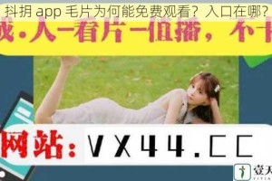 抖抈 app 毛片为何能免费观看？入口在哪？