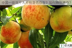 中国一级淫片 A 片桃是否存在？如何辨别真伪？