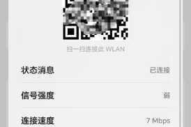 小白发布加密通道 1，真的安全吗？