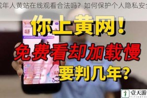 成年人黄站在线观看合法吗？如何保护个人隐私安全？