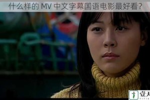 什么样的 MV 中文字幕国语电影最好看？