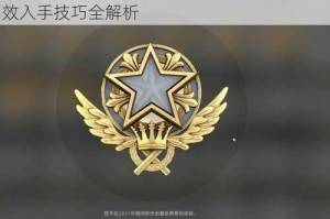 全民奇迹勋章与军衔勋章获取途径详解及高效入手技巧全解析