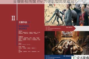 豆瓣影视传媒 mv 为什么如此受欢迎？