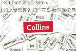 为什么 Chinese 91 Porn video 如此受欢迎？如何在观看时保护自己？