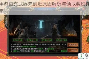 风云手游首充武器未到账原因解析与领取奖励详细步骤指南
