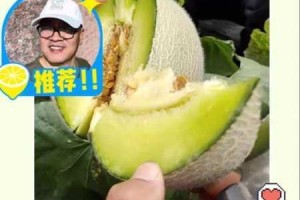 海角今日吃瓜：聚焦网络热点话题