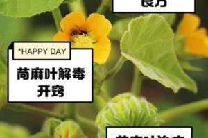 麻.w 豆.w 媒.w 传.w 是什么？有何作用？如何使用？