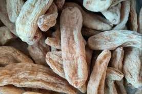 91 制作天麻传媒免费入，真的假的？为什么要免费入？