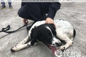 为什么奶头被教官玩得受不了了 av？
