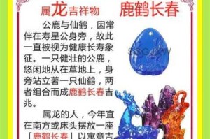 为什么yw512.龙物能如此受欢迎？