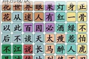 汉字找茬王卧底角色通关全攻略三十字精讲高效技巧与辨别秘诀
