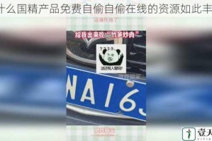 为什么国精产品免费自偷自偷在线的资源如此丰富？