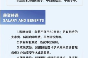 成都丁夫人人才网：为何它能成为你的求职招聘首选？