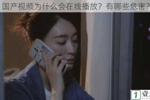 国产视频为什么会在线播放？有哪些危害？