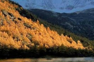 亚丁五色湖丁香园图片为什么如此迷人？有哪些拍摄技巧？