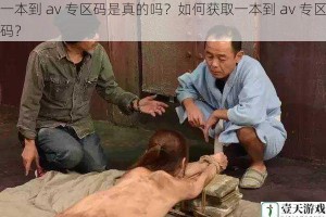 一本到 av 专区码是真的吗？如何获取一本到 av 专区码？
