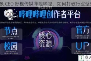 大象 CEO 影视传媒哔哩哔哩，如何打破行业壁垒？