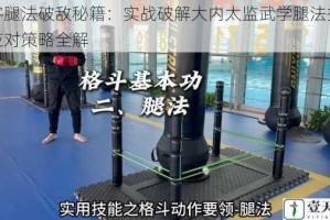 侠客腿法破敌秘籍：实战破解大内太监武学腿法招式与应对策略全解