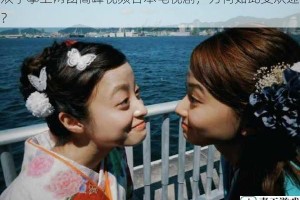 双手攀上两团高峰视频日本电视剧，为何如此受欢迎？